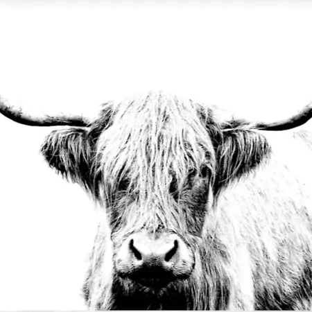 110m2 Basecamp - Dolomiten, Weissensee Und Adria