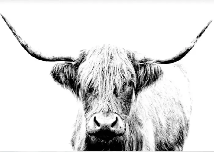 110m2 Basecamp - Dolomiten, Weissensee Und Adria